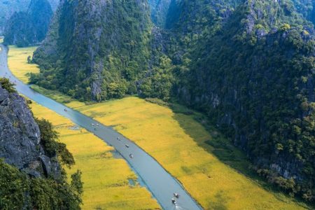 Ngỡ ngàng mùa vàng tại Tam Cốc, Ninh Bình