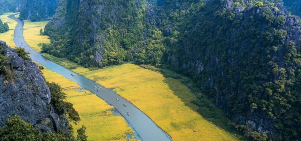 Ngỡ ngàng mùa vàng tại Tam Cốc, Ninh Bình