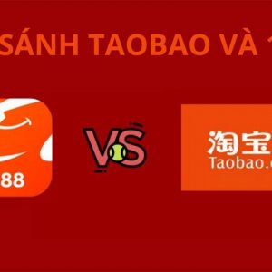 So sánh Taobao và 1688: Nên mua sắm hàng trên website nào?